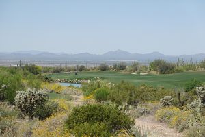 Dove Mountain (Wild Burro) 6th